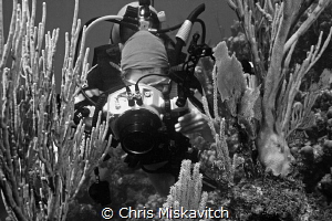 Diver shooting images by Chris Miskavitch 